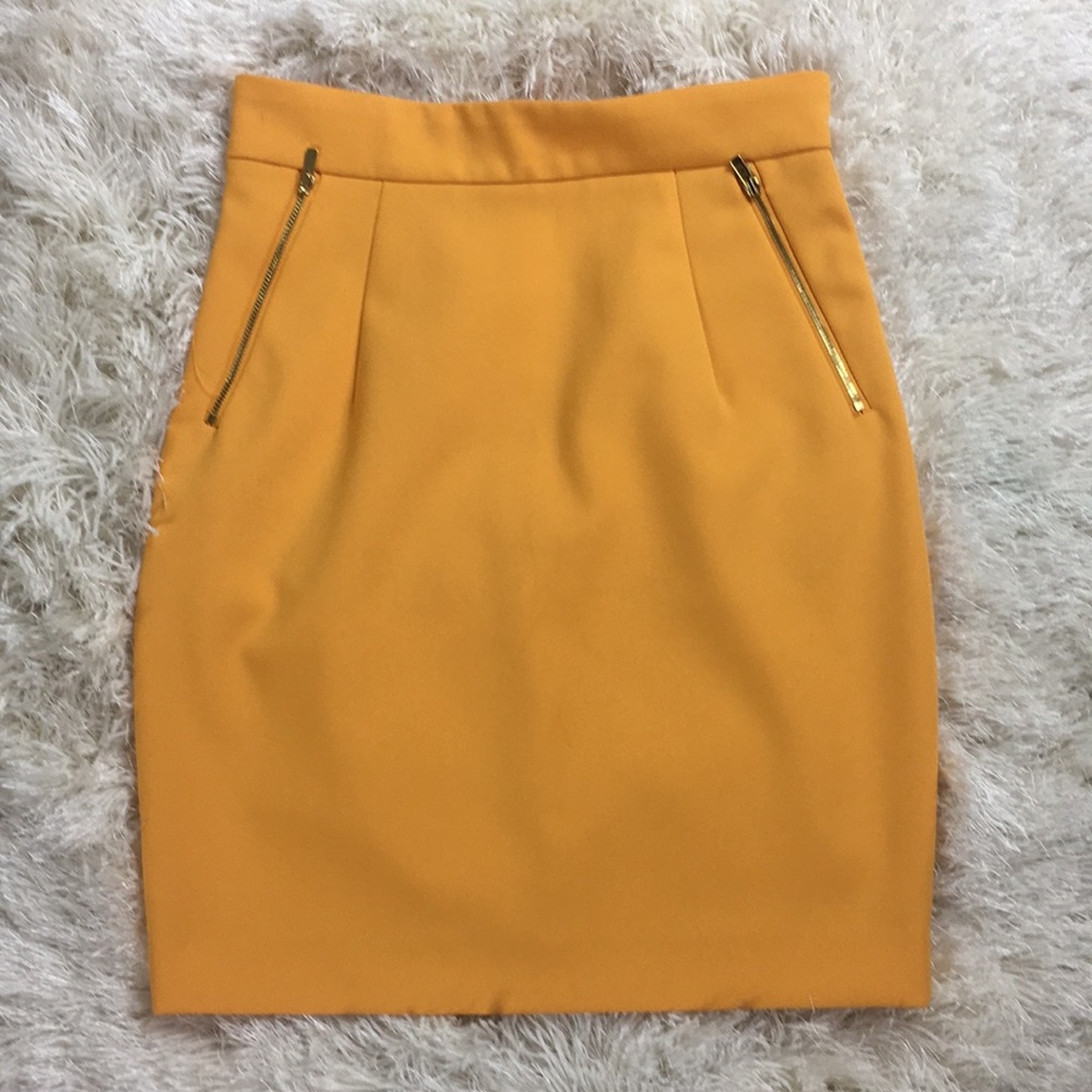 H&M Golden Zipper Skirt